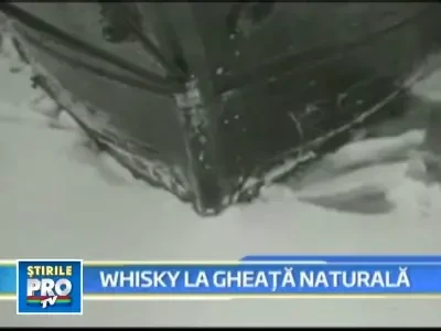 Merg in expeditie la Polul Sud! Nu pentru pinguni, ci pentru... whisky!