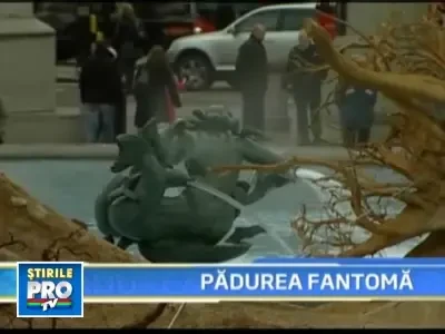 Trafalgar Square, celebra piata din centrul Londrei, s-a umplut de radacini