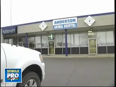 Penes curcanul, la tranta cu motanul!