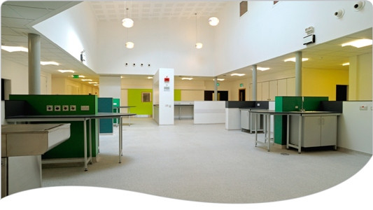 Tehnica medicala de ultima ora la un spital destinat animalelor