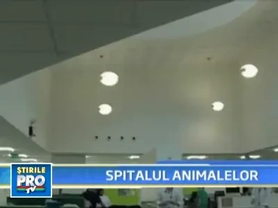 Tehnica medicala de ultima ora la un spital destinat animalelor