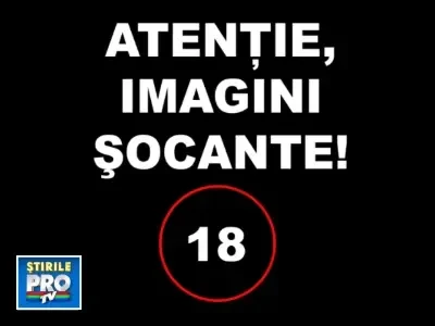IMAGINI SOCANTE! Mutilat de un urs, dupa ce a sarit in tarcul animalului!