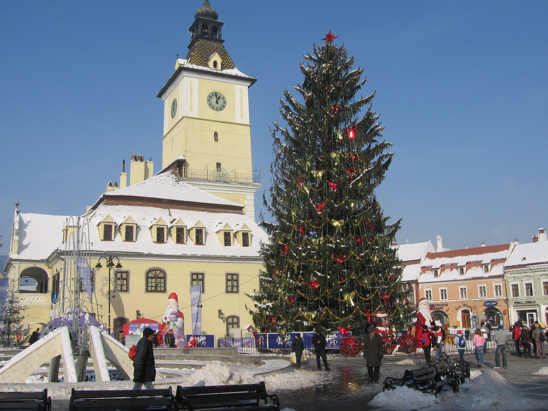 Brasovenii vor impodobi un brad de 25 de metri