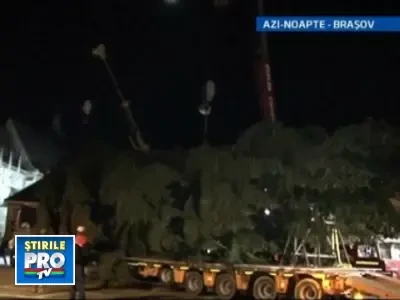 Brasovenii vor impodobi un brad de 25 de metri