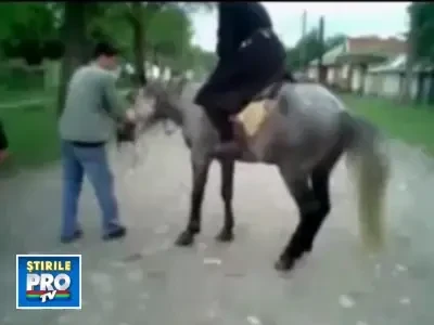 NO COMMENT! Un cal care s-a uitat prea mult la wrestling!