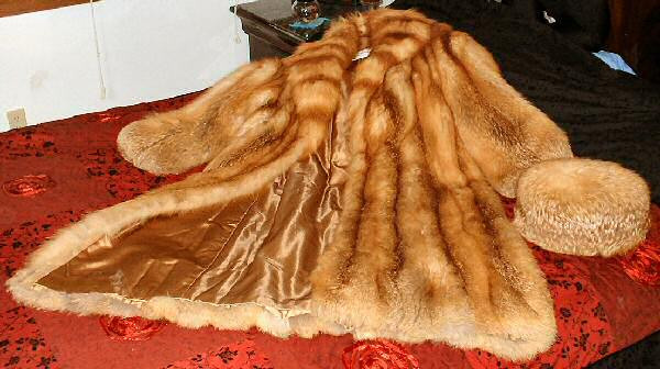 Animale in Rusia: crescute pentru blana lor, lasate sa moara de foame