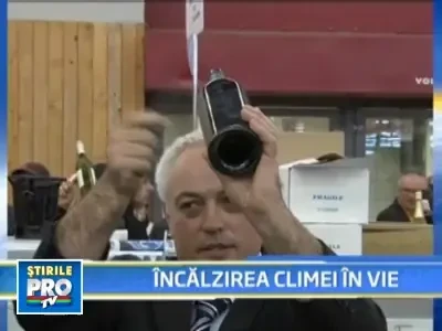 Producatorii de vin, afectati de incalzirea climatica