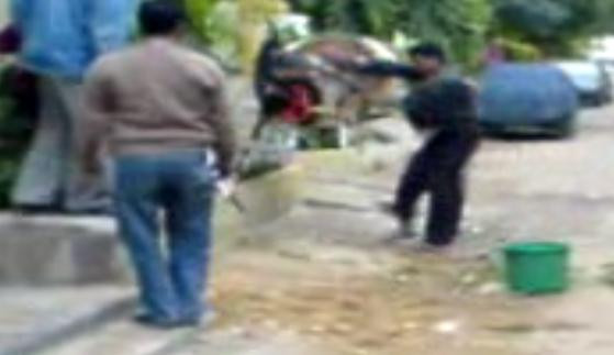 Cow-Fu: o vacuta reuseste lovitura anului in arte martiale! Vezi VIDEO