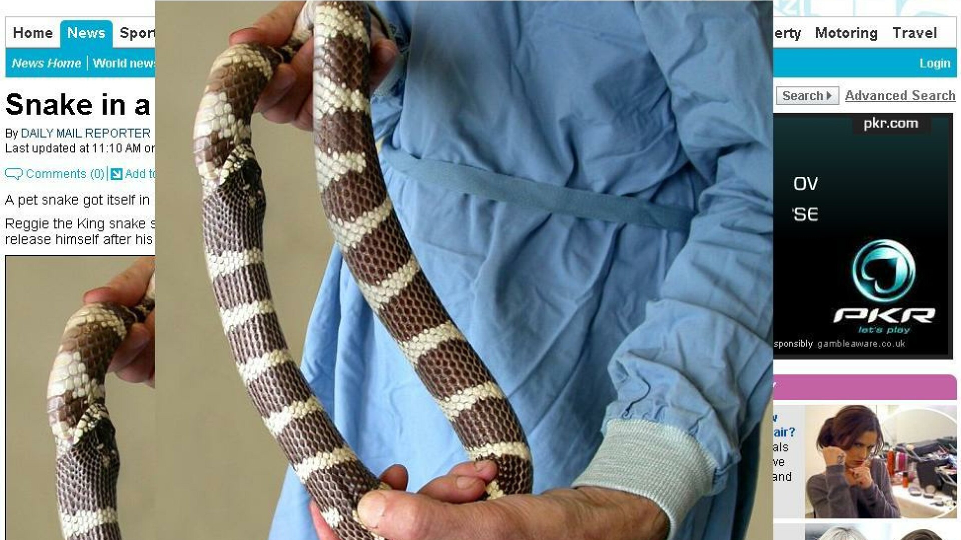 Mort de foame? Si-a devorat propria coada!