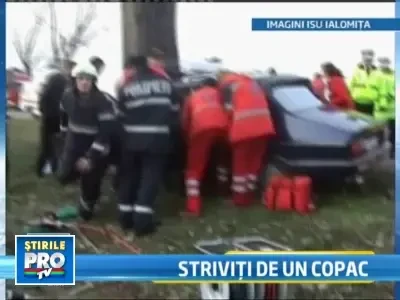 Un politist din Ialomita a intrat cu masina intr-un copac