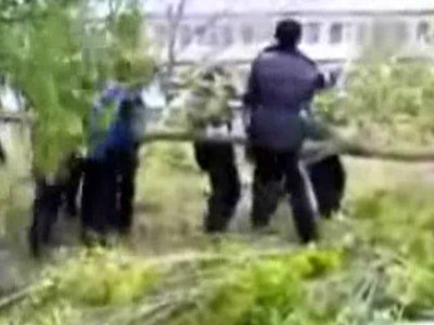 Bancuri cu politisti LIVE! Cum inveti sa zbori cand vrei sa muti un pom