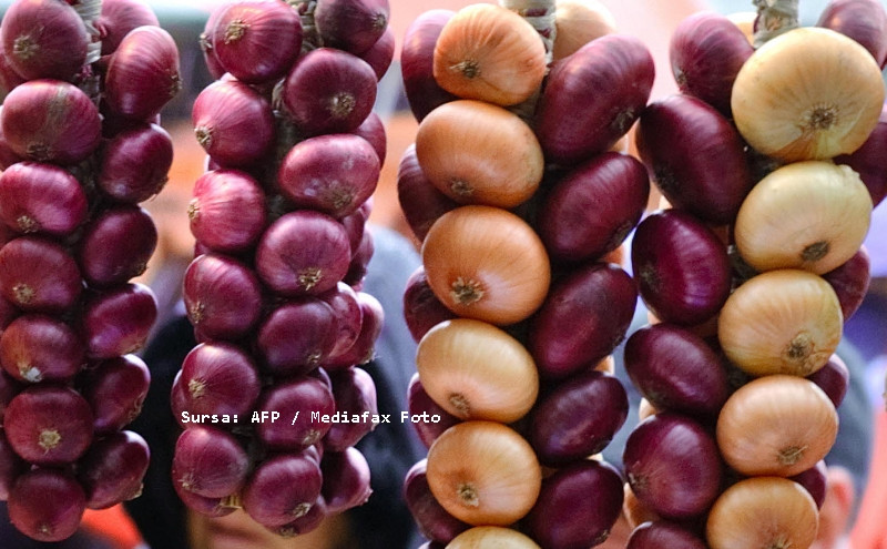 Calendarul din foi de ceapa: 2010, un an secetos, dar si ploios!