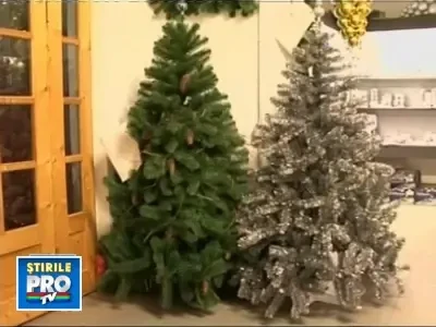 Brad de plastic sau natural? La ghiveci sau abia taiat din padure?