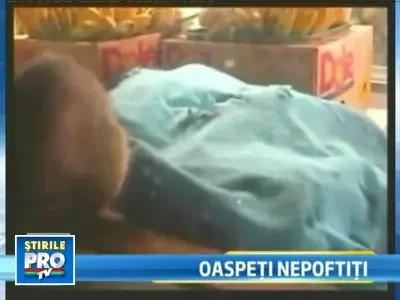 Oferta unui magazin alimentar din Hawaii: soareci si sobolani la gramada!