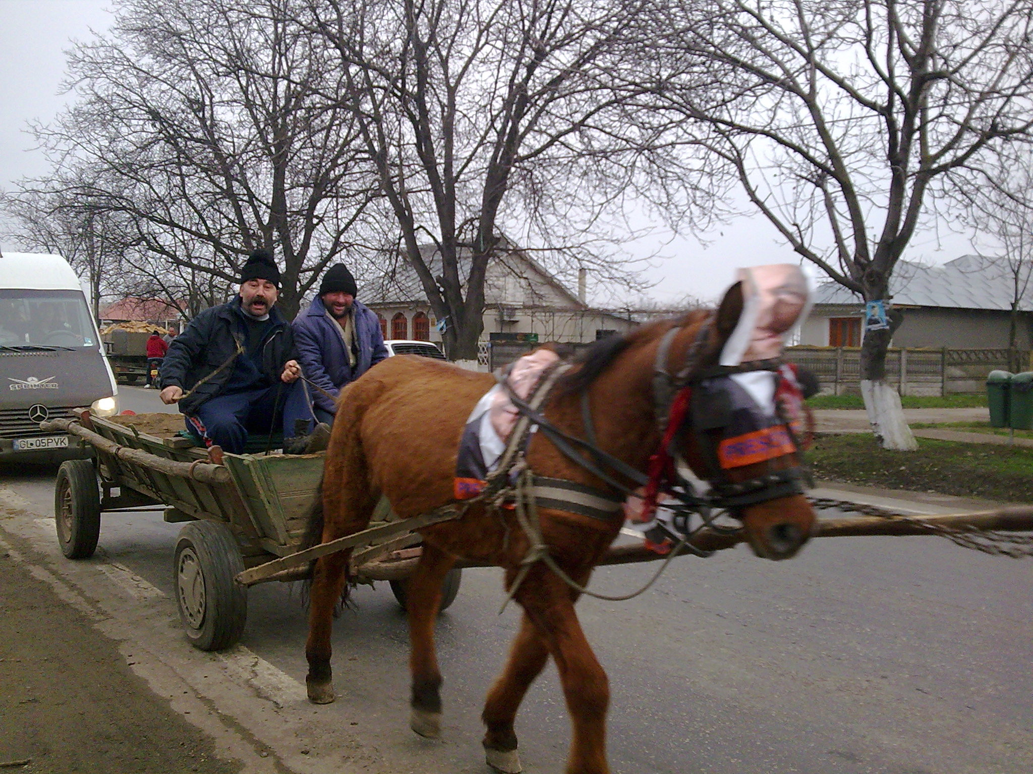 Ca la noi, la nimeni - episodul electoral: afise pro Basescu, lipite pe cal