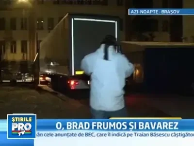 Brazii de import se vand in inima Carpatilor mai bine decat cei autohtoni!