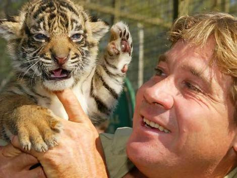 Familia lui Steve Irwin,"vanatorul de crocodili", continua visul acestuia!