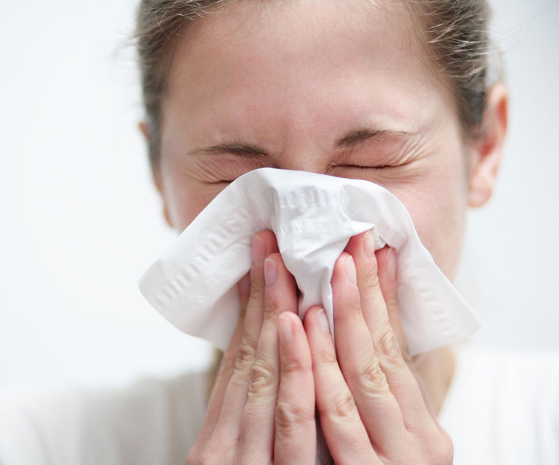 Gripa porcina se intoarce in Bucuresti!