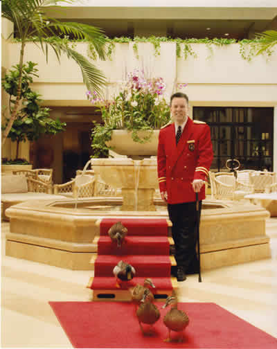 Si ratele au momentul lor de glorie pe covorul rosu! VEZI VIDEO!