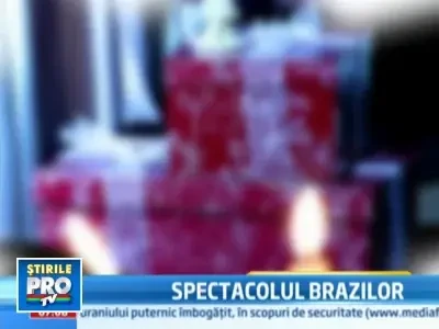 Bradutii decorati de designeri le-au adus 272.000 de euro copiilor sarmani