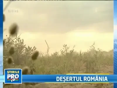 Prognoza ingrijoratoare: Romania se va transforma intr-un desert