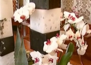 Opere de arta din flori, stranse in premiera la o expozitie din Capitala!