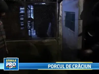 Tai porcul de Craciun acasa sau cumperi carnatii si carnea de la magazin?