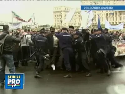 Crescatorii de animale, faliti! Inca asteapta banii promisi de autoritati