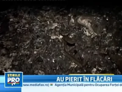 Doua fetite, una de 3 ani si alta de 1 an, au ars de vii in casa!