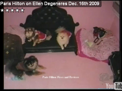 Paris Hilton are un nou animal de companie! Porcusorul Mr.Piglet!