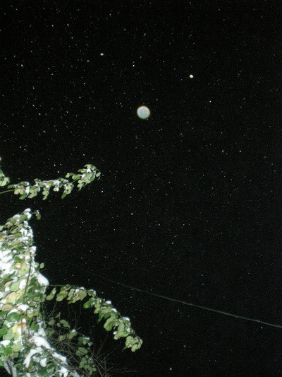 Semn divin sau iluzie optica? Chipul lui Isus pe un fulg de zapada