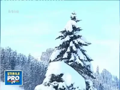 Pleci din tara de sarbatori? Sfaturi importante de calatorie!