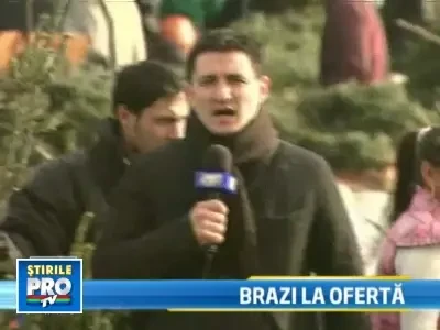 Un brad se vinde acum in piete si cu 5 lei!