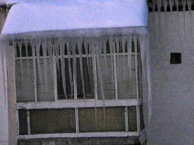 Barbat de 55 de ani, ucis de un turture de aproape un metru!