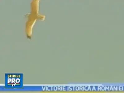 Cele mai importante evenimente interne din 2009