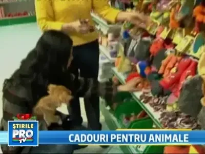 Mos Craciun a venit si la catei si pisici!