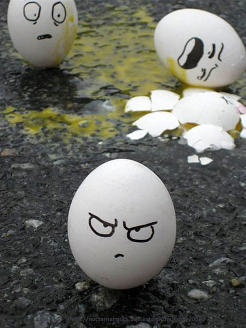 Solutia pentru "razboiul" oualor: ferme mai mari pentru gainile stresate