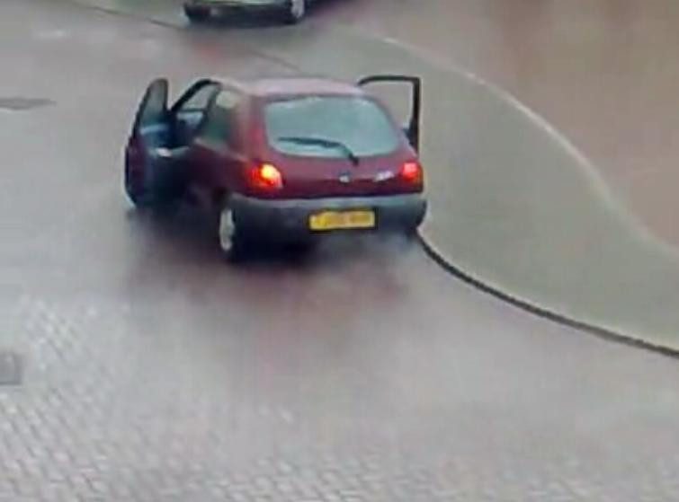 De ce masina nu-i ca sania sau cum poleiul impinge la gesturi extreme