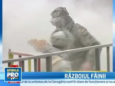 Bataia cu faina si oua, o tradite respectata cu sfintenie de spanioli!