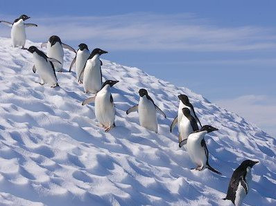 Ti-ar placea sa ai un job la Polul Sud?!