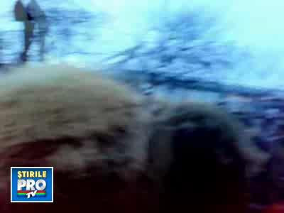 A pierit traditia sau s-a dus curajul? Bataia de la Ruginoasa n-a avut loc