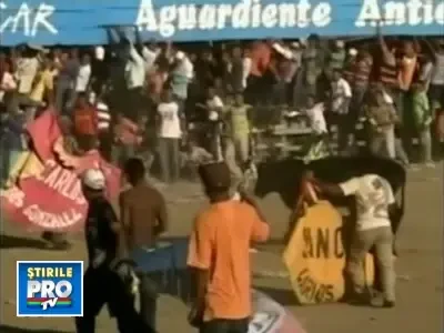 Doliu in Columbia. Un barbat a murit sfartecat de coarnele unui taur!