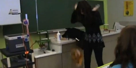 A omorat hamsterii primiti cadou! Chiar in fata elevelor