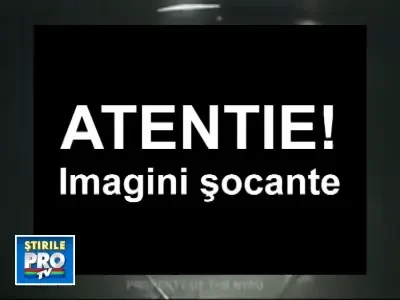 Catelus calcat in picioare de un individ fara suflet