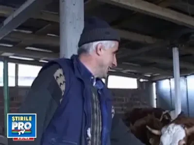 Fermierilor romani le-a ajuns cutitul la os!