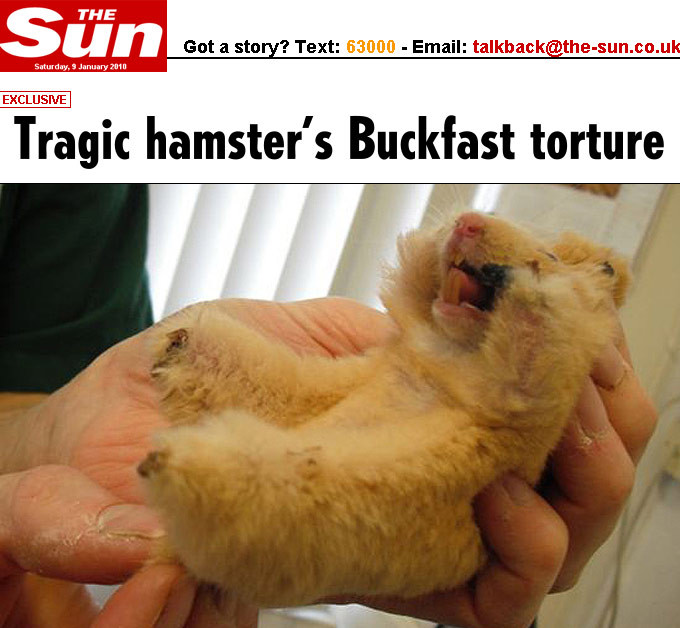 Un hamster a ramas fara picioruse, dupa ce a fost bagat la microunde!