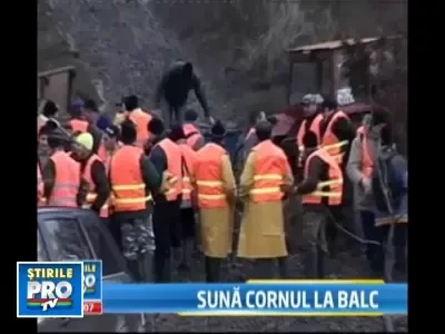 Cel putin 100 de mistreti, doborati la Balc de invitatii lui Ion Tiriac