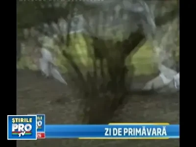 Vreme de primavara in luna lui Gerar!