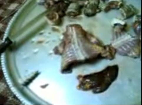 Moarta si totusi vie...Broasca-n farfurie!