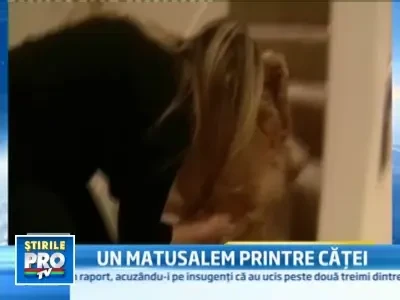 Uno, cel mai batran caine din lume! Are 22 de ani!